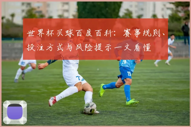 世界杯买球百度百科：赛事规则、投注方式与风险提示一文看懂